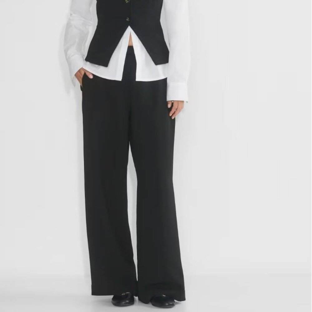 Aritzia Wilfred Lodge pant Japanese crepe wider-leg pants